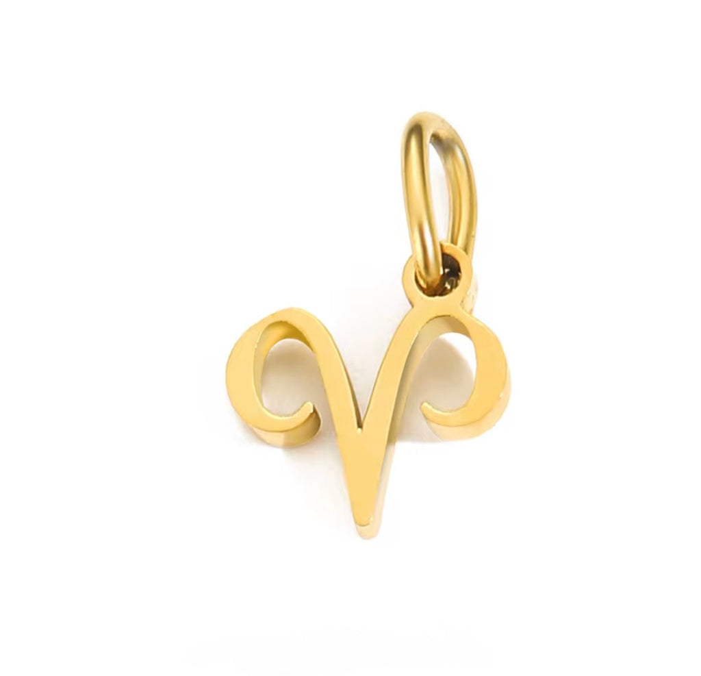 Birth You - Standard Zodiac Charm