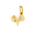 Birth You - Standard Zodiac Charm