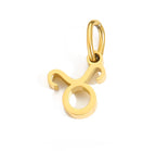 Birth You - Standard Zodiac Charm