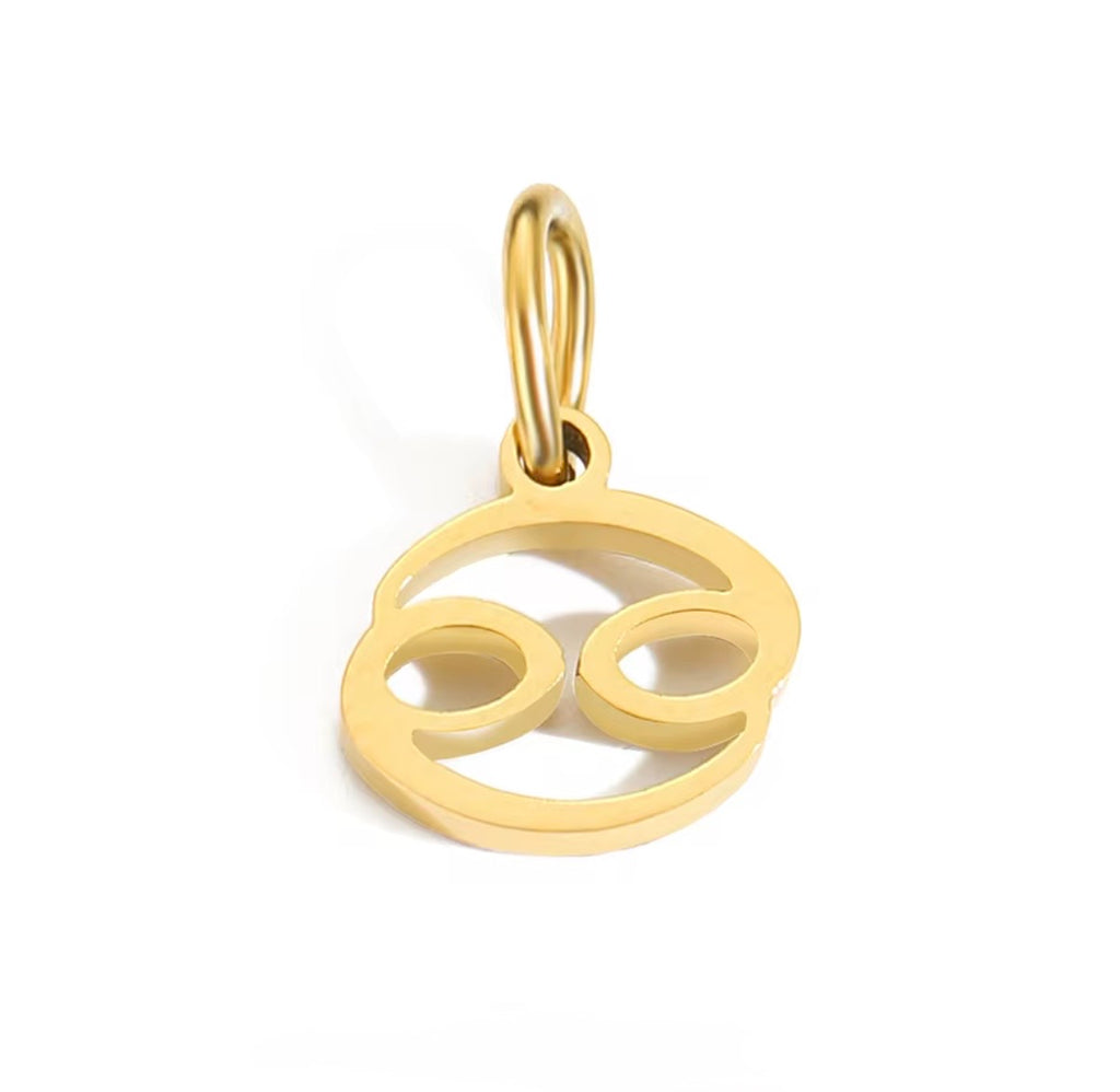 Birth You - Standard Zodiac Charm