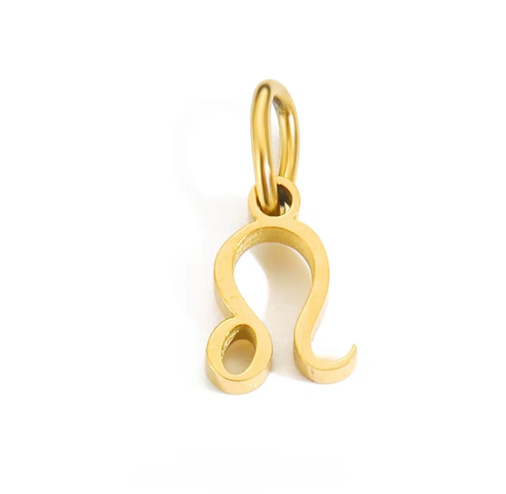 Birth You - Standard Zodiac Charm