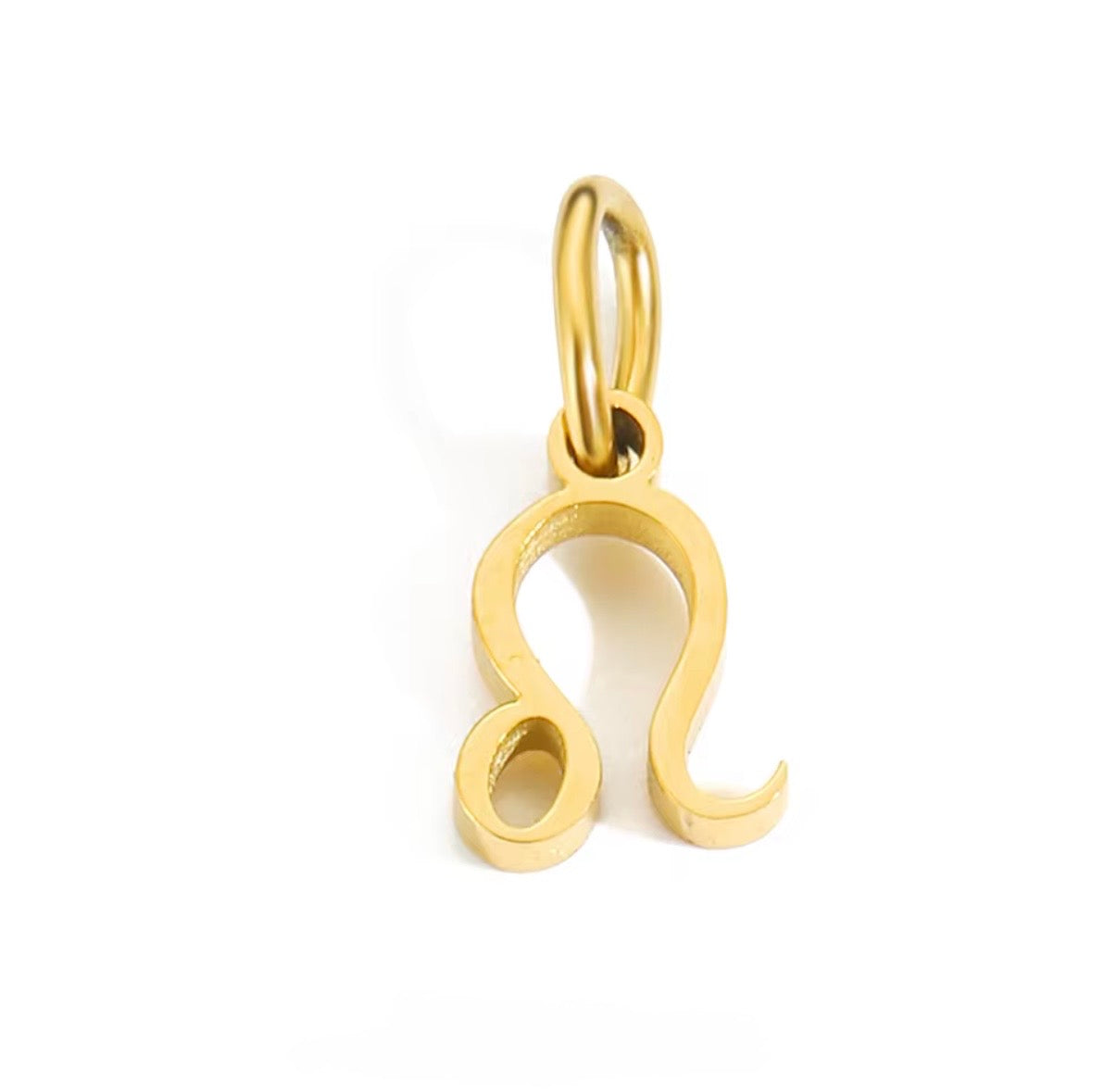 Birth You - Standard Zodiac Charm
