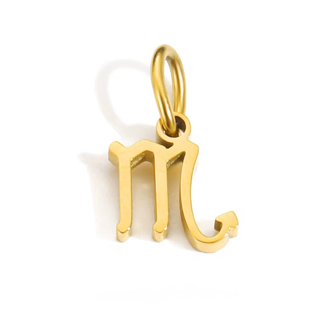 Birth You - Standard Zodiac Charm