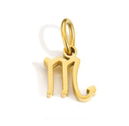 Birth You - Standard Zodiac Charm