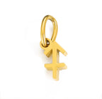 Birth You - Standard Zodiac Charm