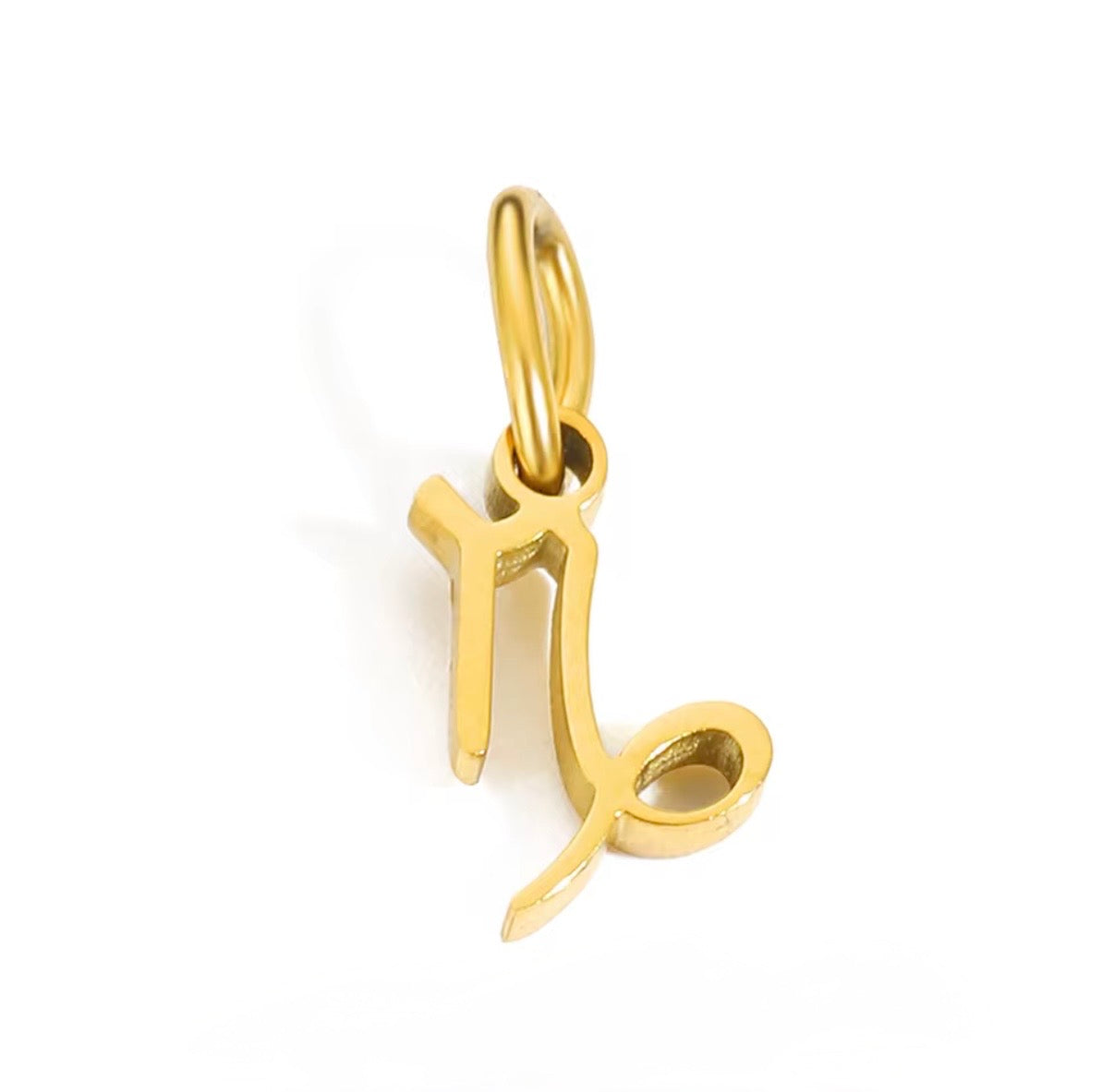 Birth You - Standard Zodiac Charm