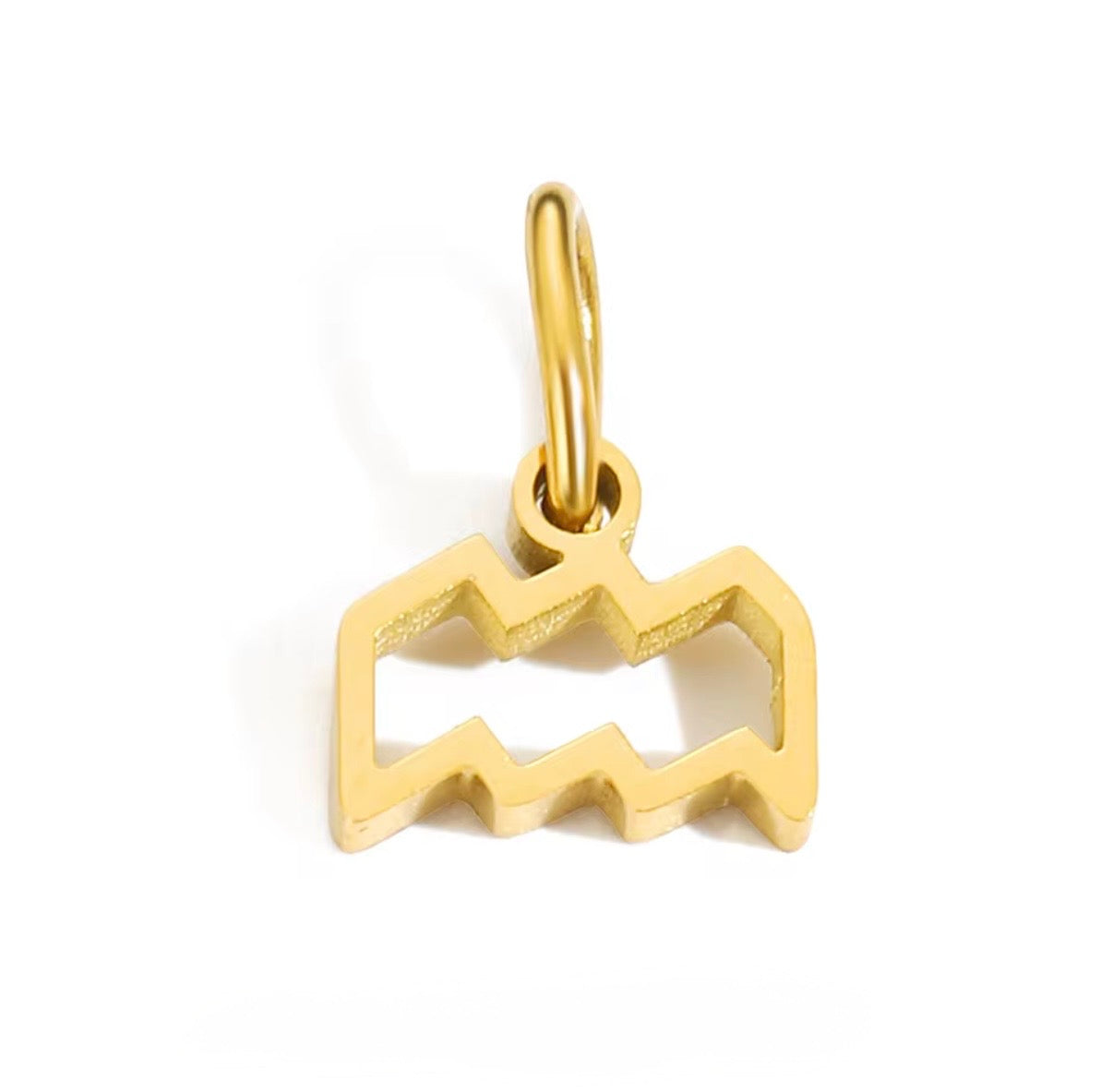 Birth You - Standard Zodiac Charm