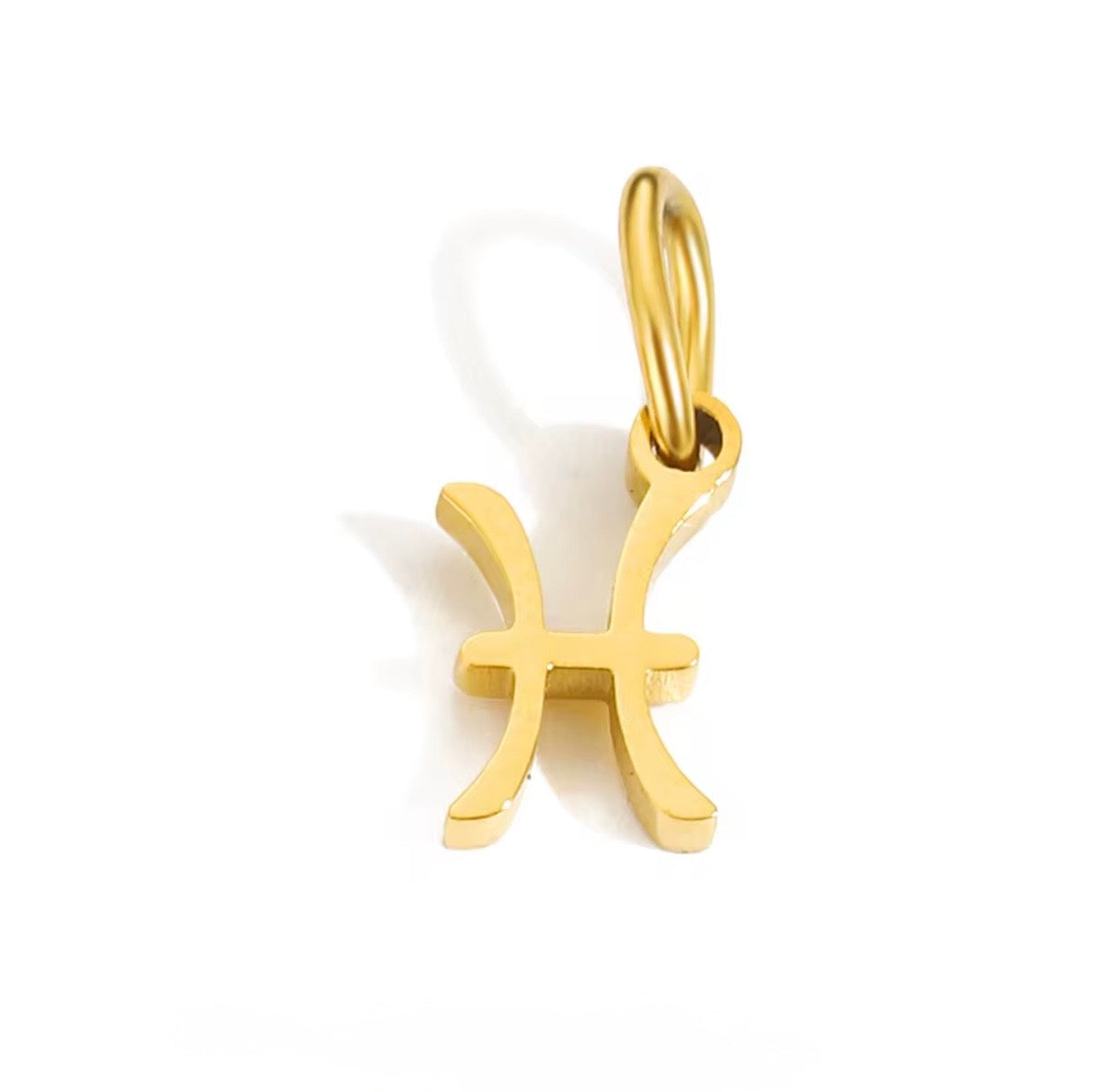 Birth You - Standard Zodiac Charm